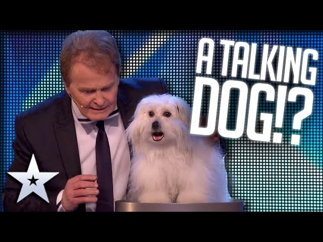 Marc and Wendy blow everyones minds! | Britain’s Got Talent | #shorts